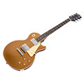 Maestro by Gibson Les Paul Standard / Gold Top