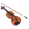 Hallstatt バイオリン5（V-12）